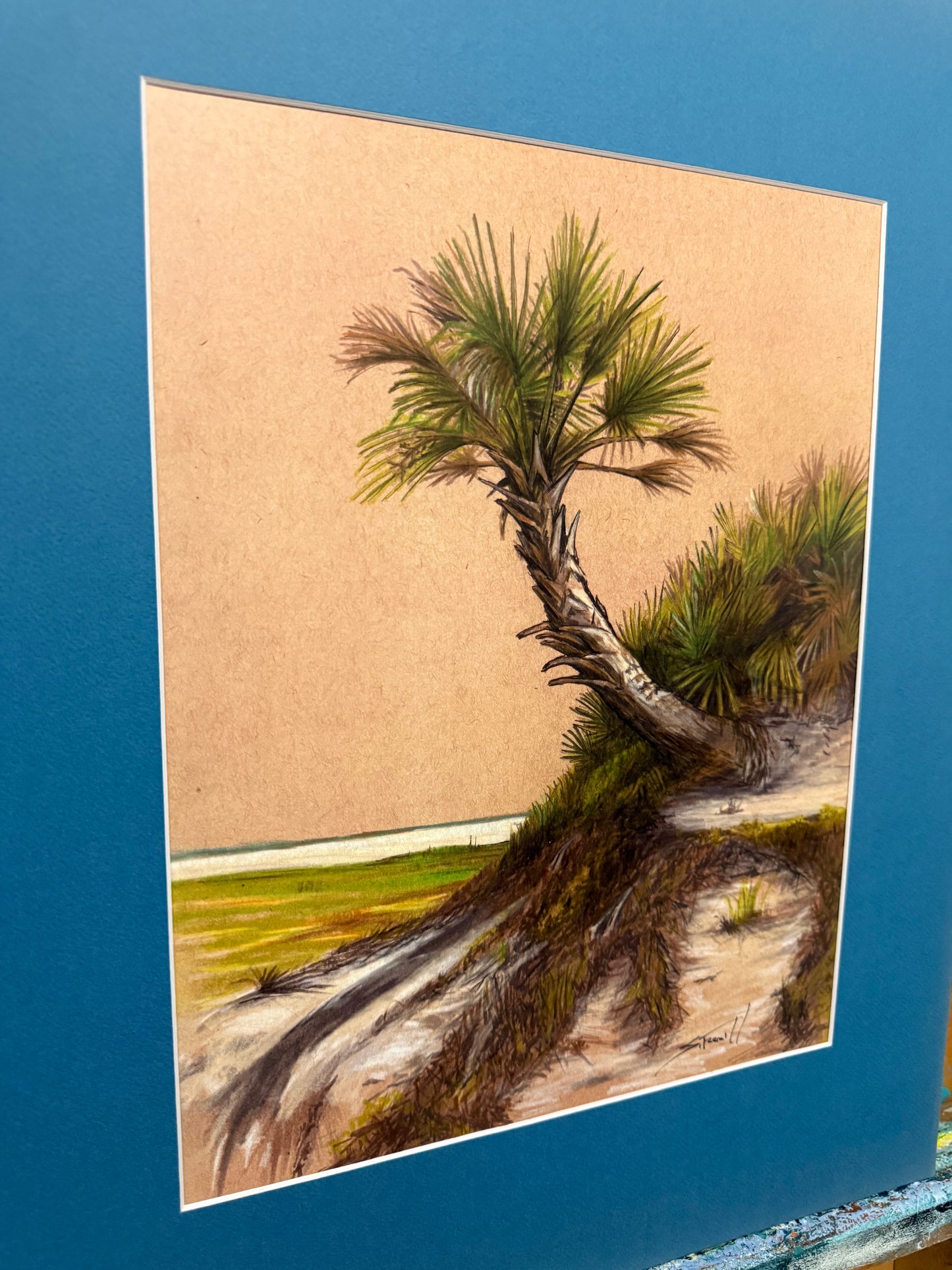 The Poles Palm