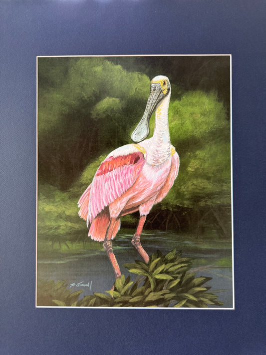 Elegant Spooner