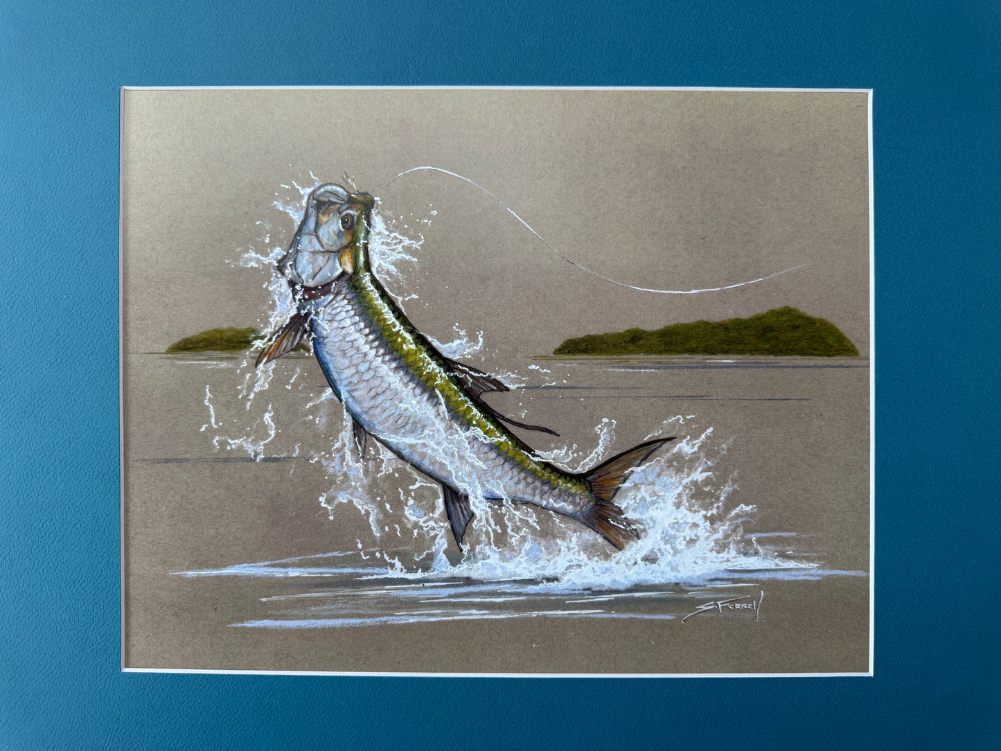 Island Hopper