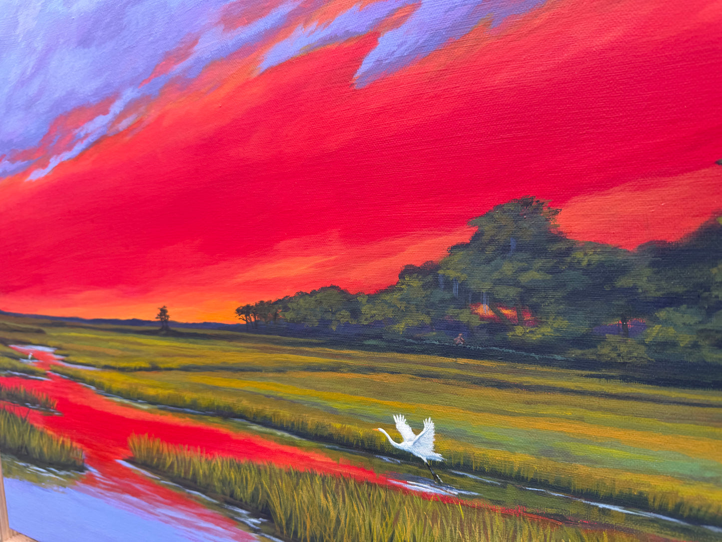 Burnsy Marsh Original Acrylic painting