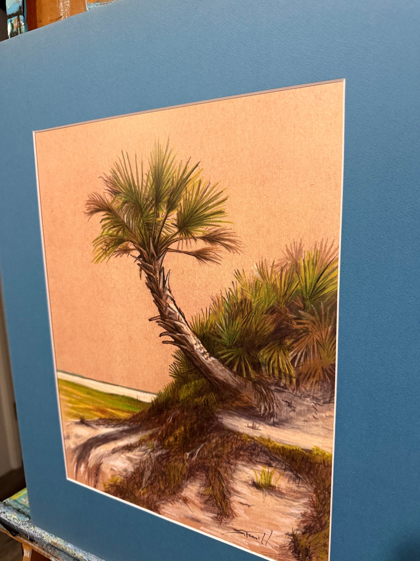 The Poles Palm