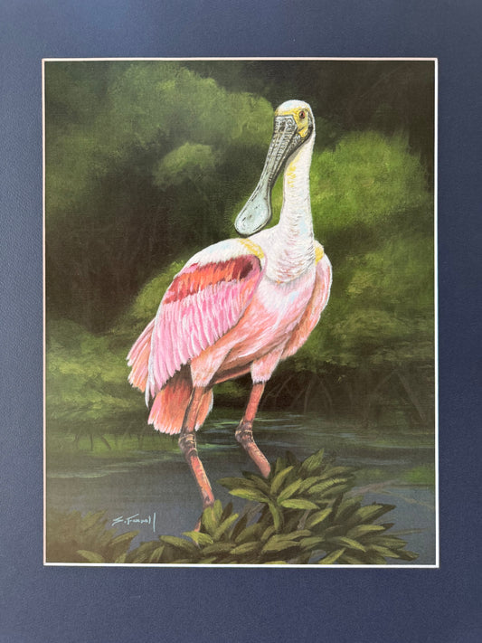 Elegant Spooner