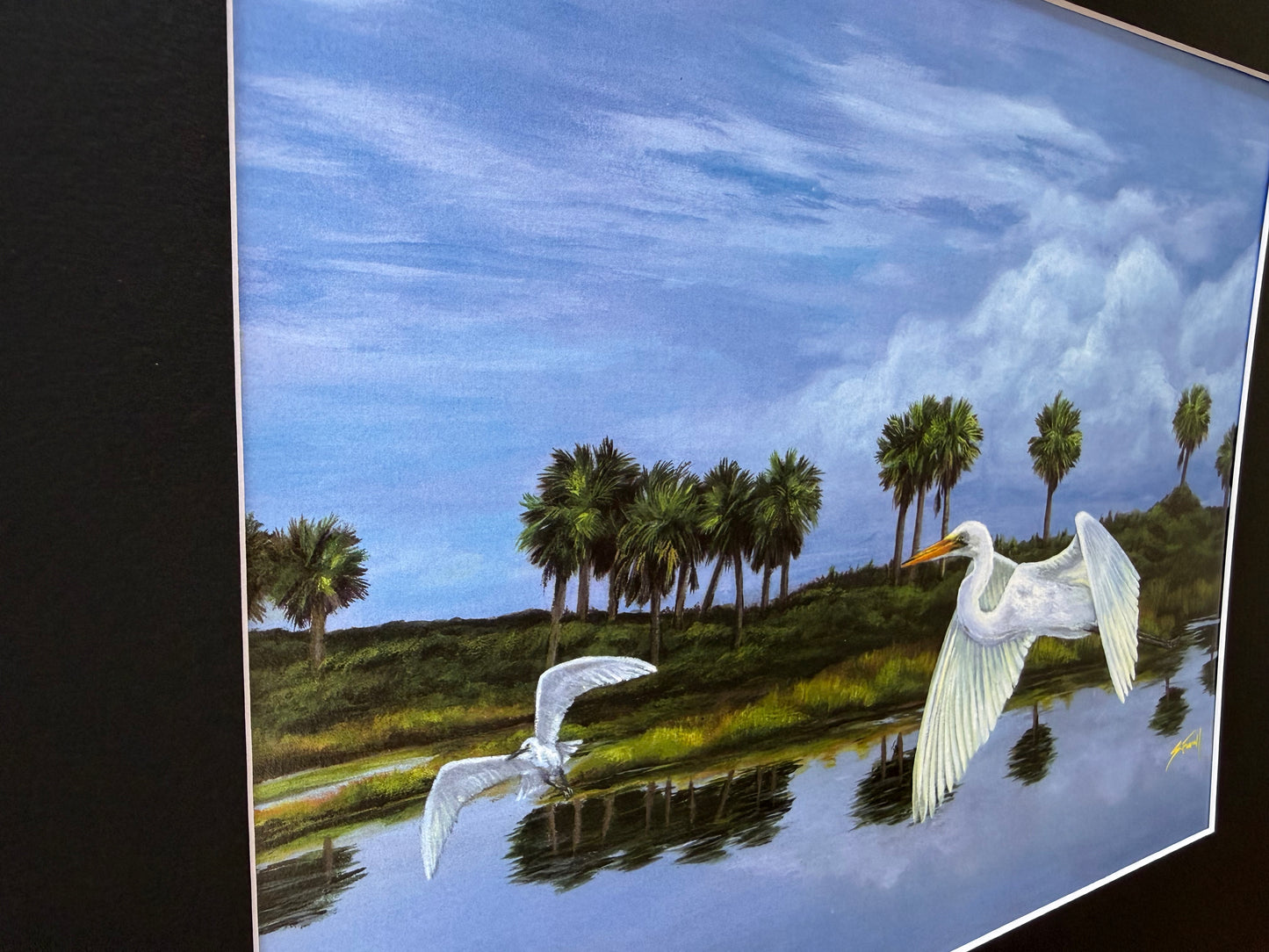 Egrets Take Flight