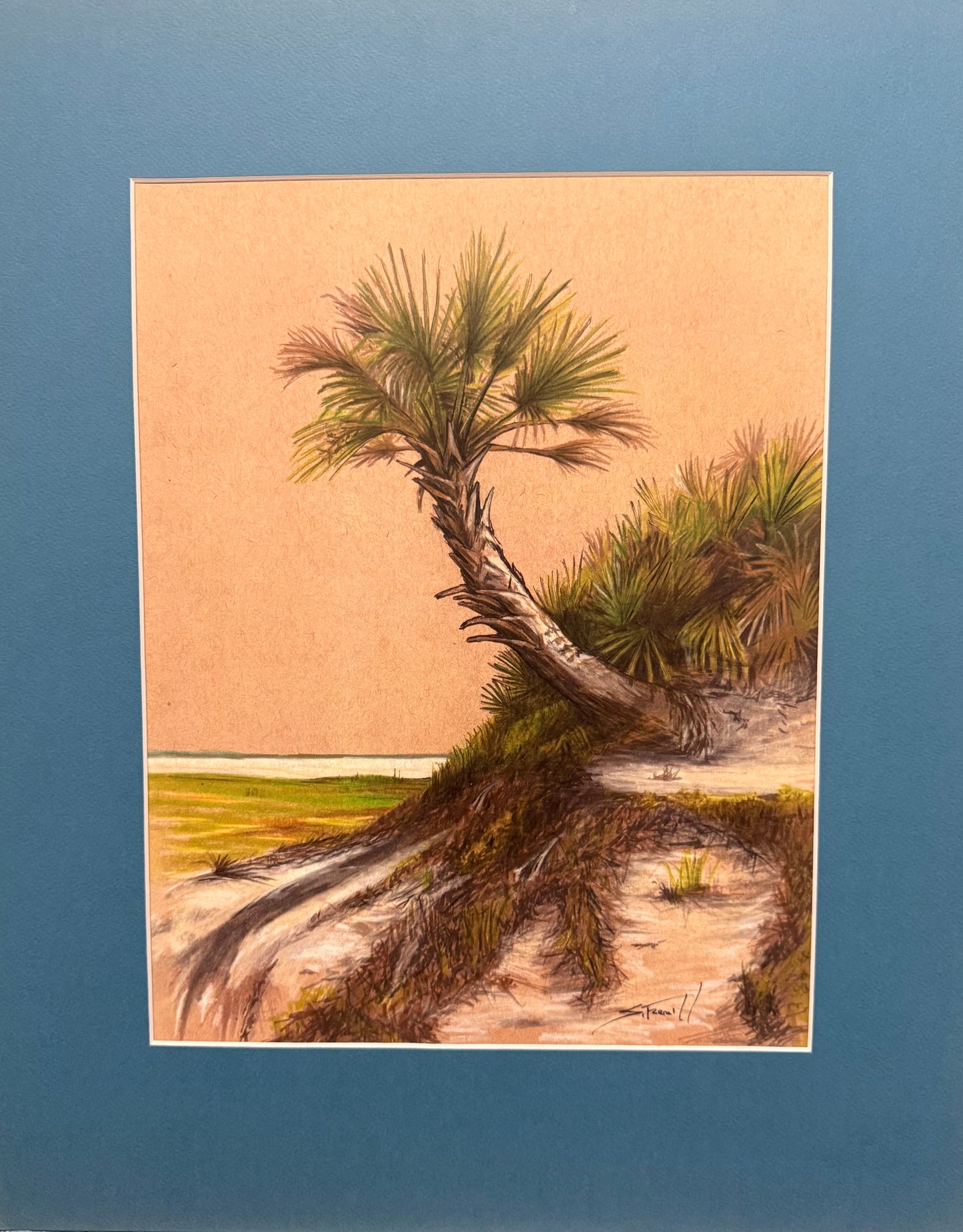 The Poles Palm