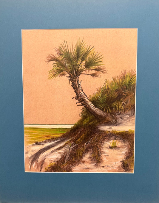 The Poles Palm
