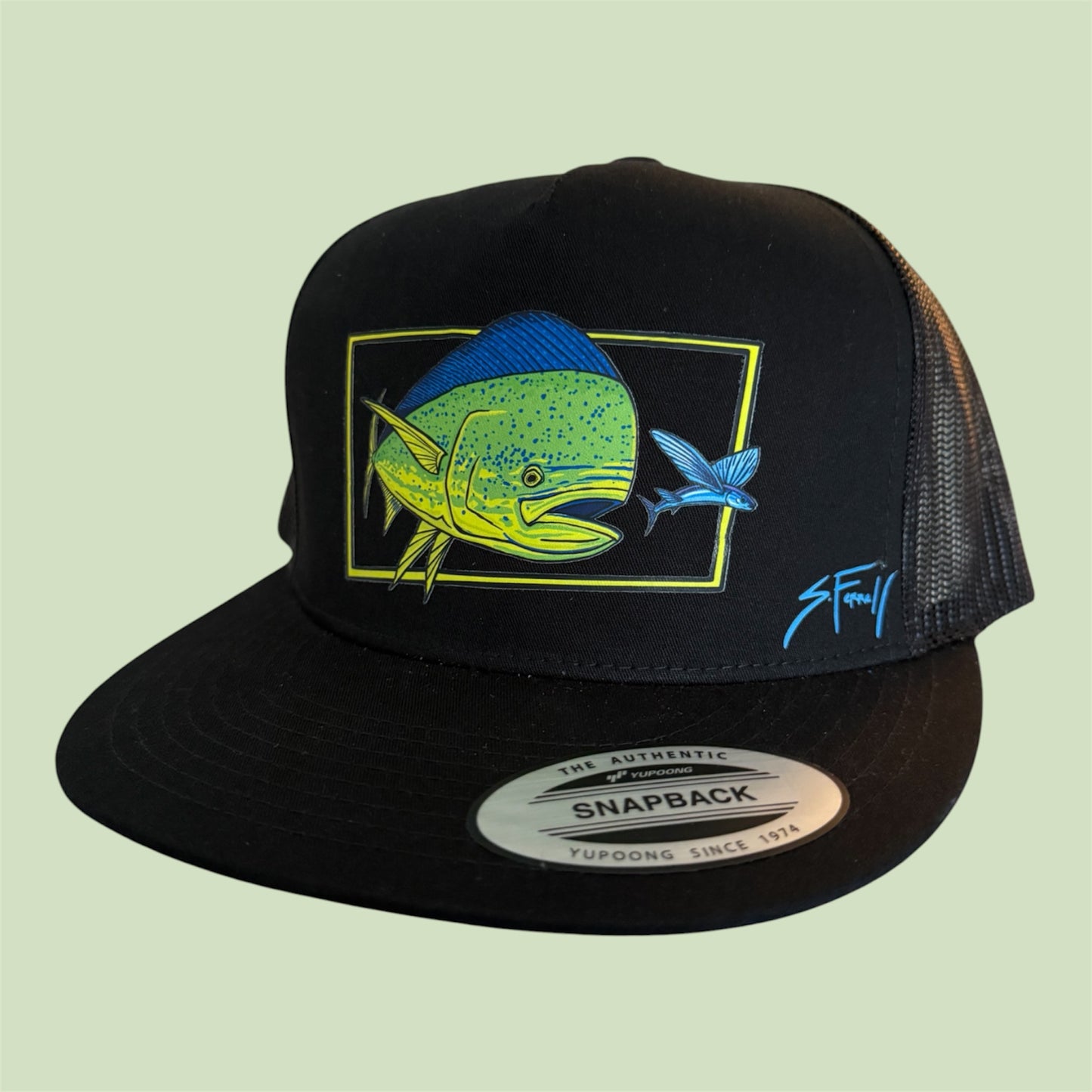 Dolphin Flatbill trucker