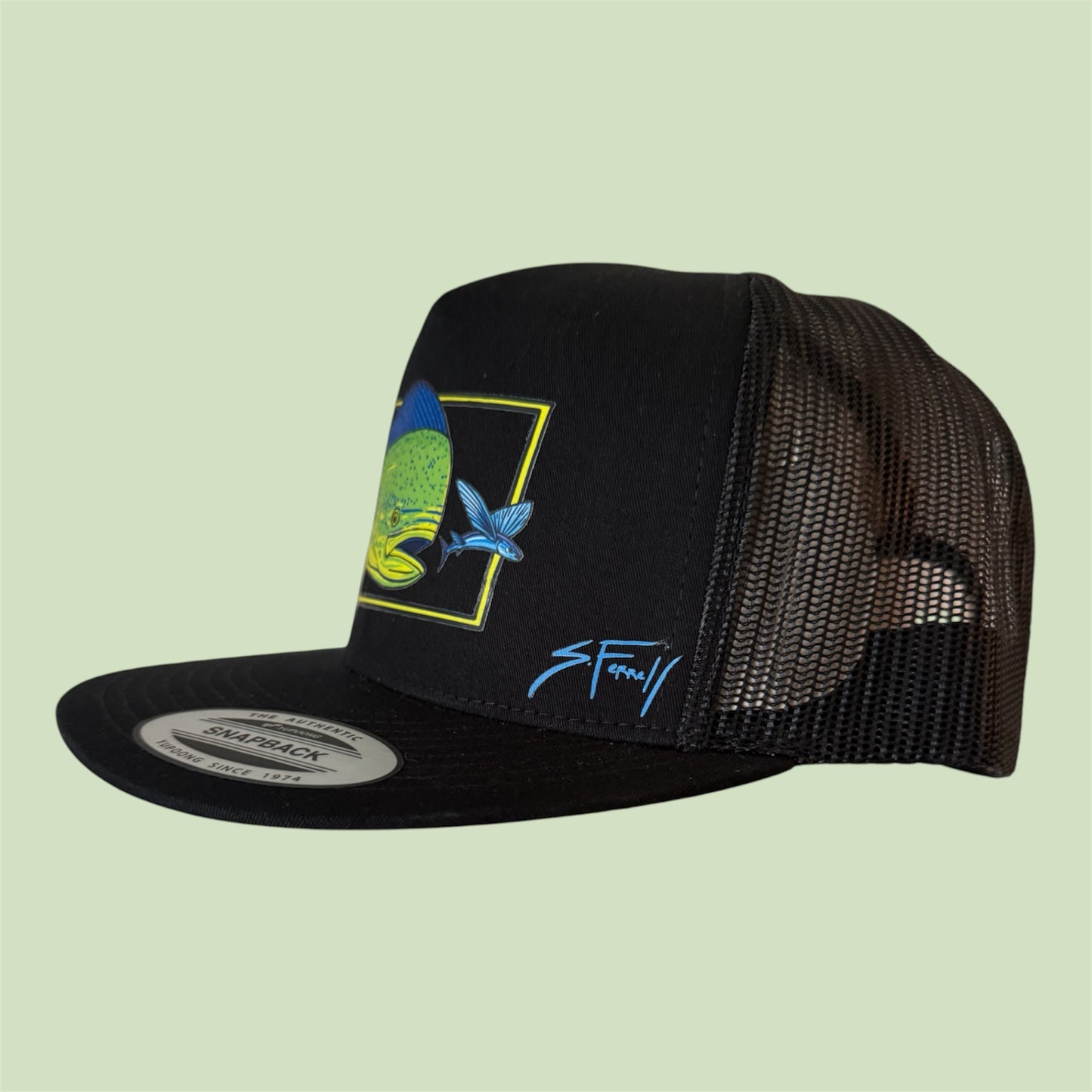 Dolphin Flatbill trucker