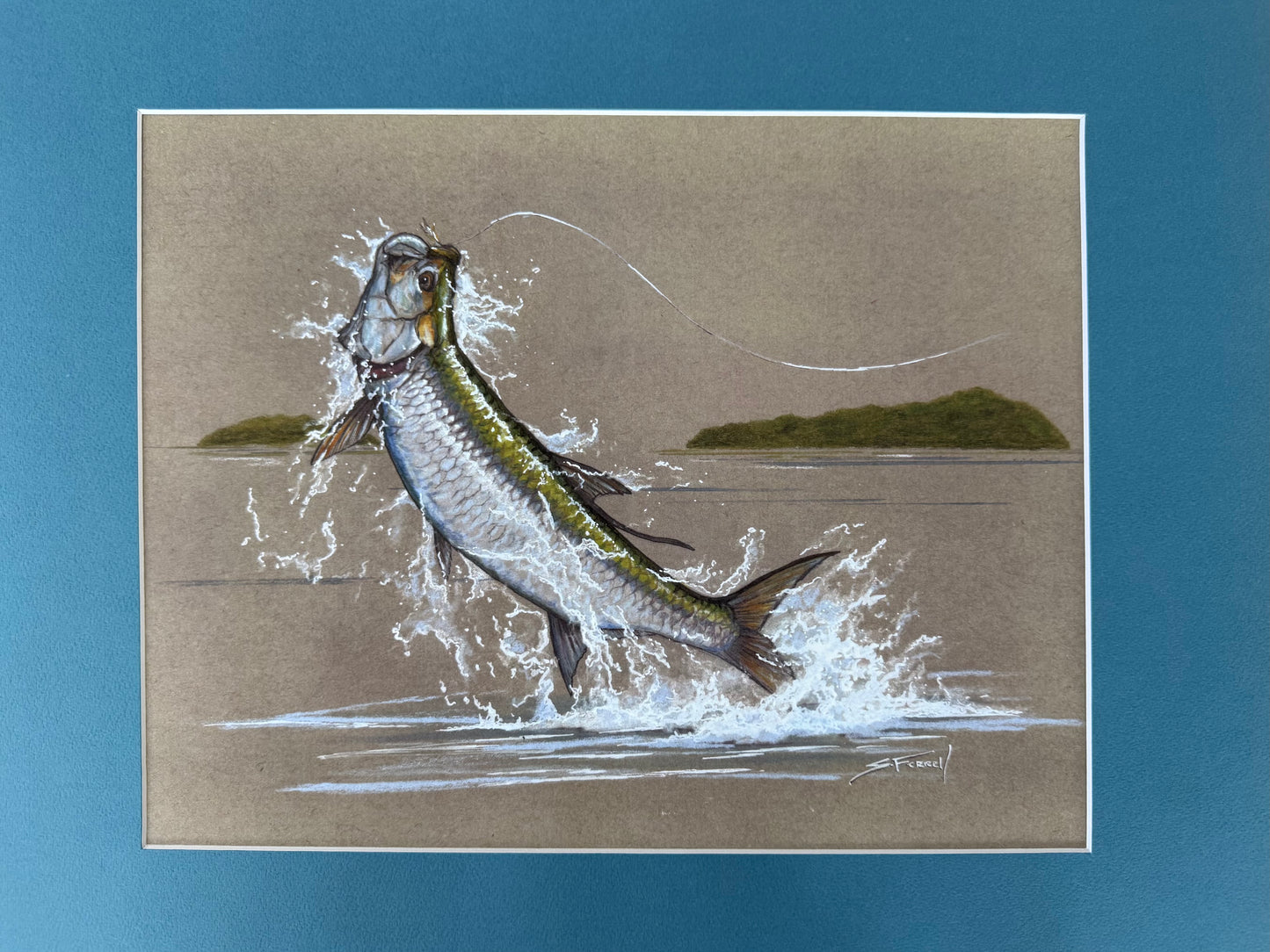 Island Hopper