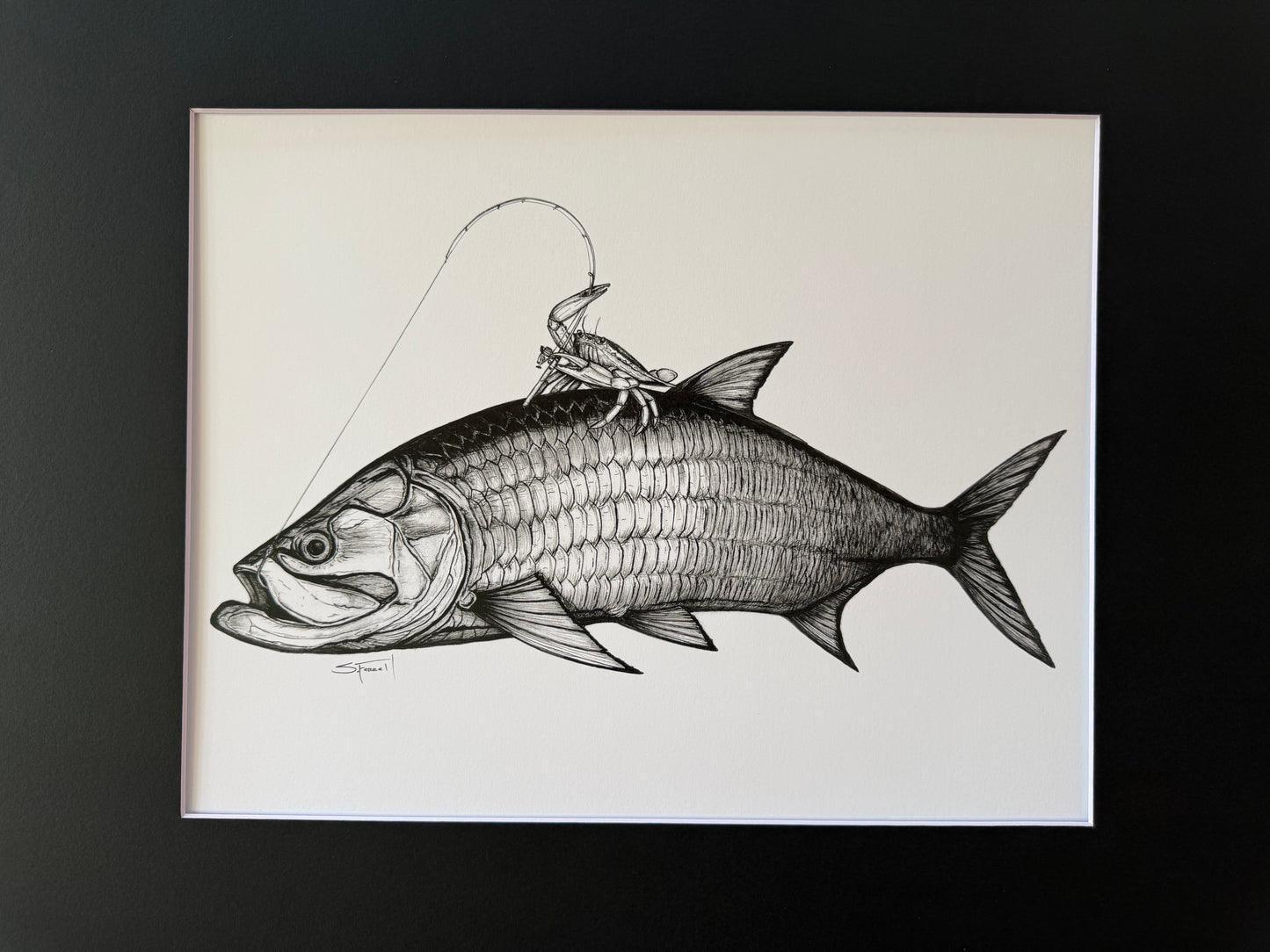 Tarpon Rodeo