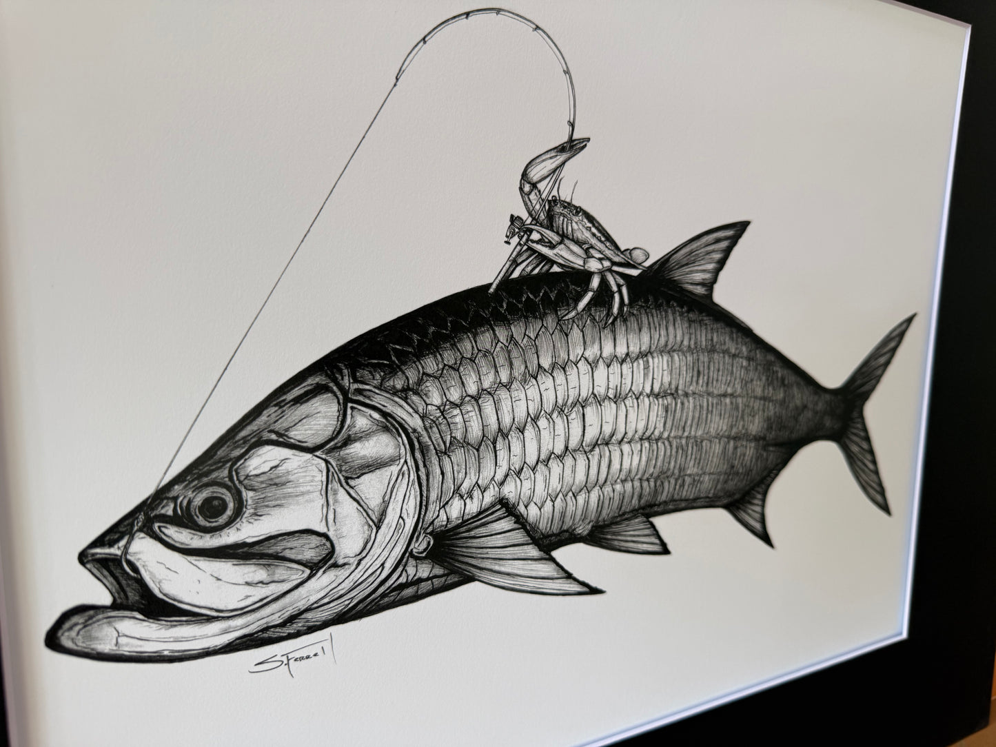 Tarpon Rodeo