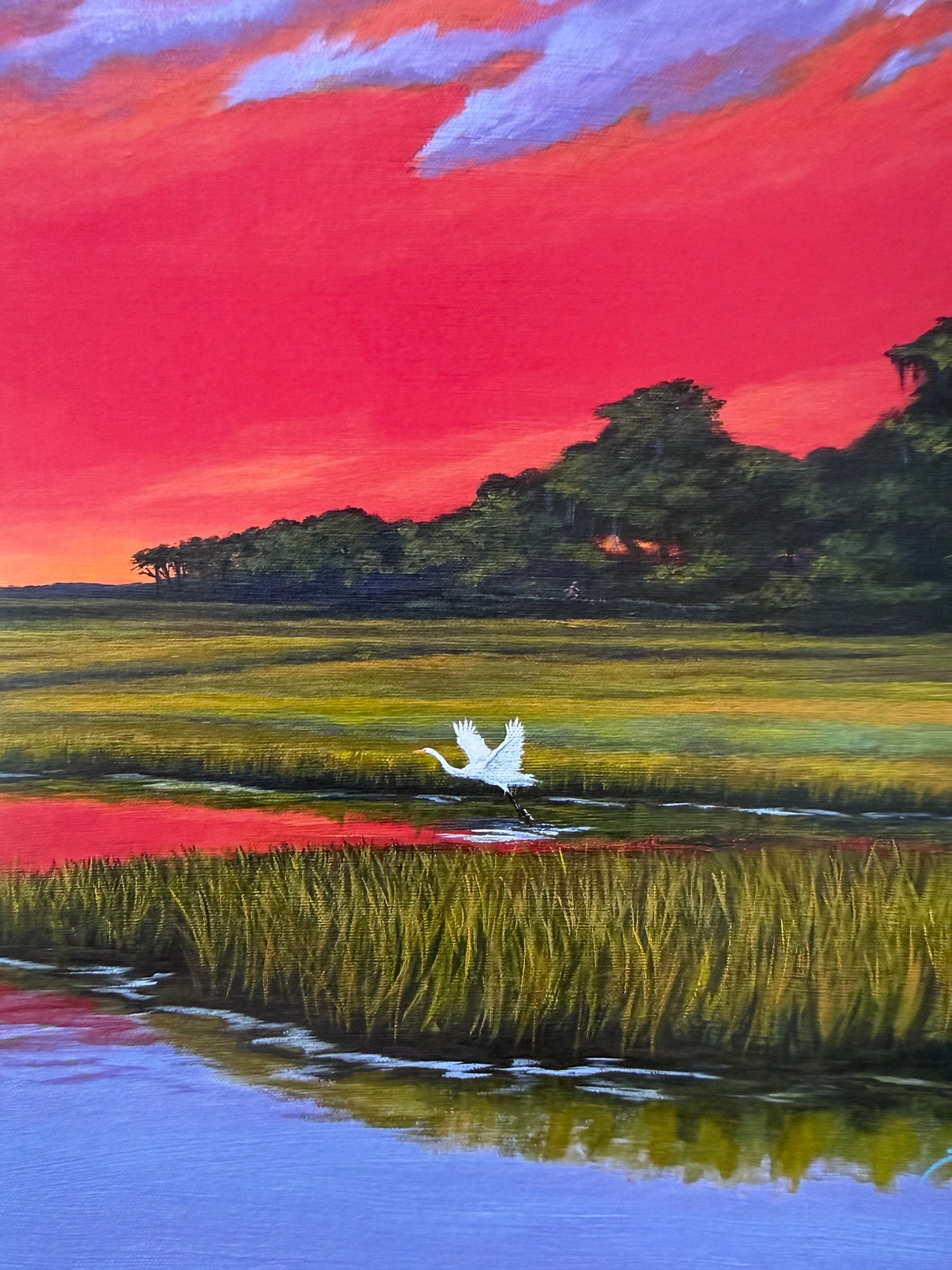 Burns Marsh Sunset