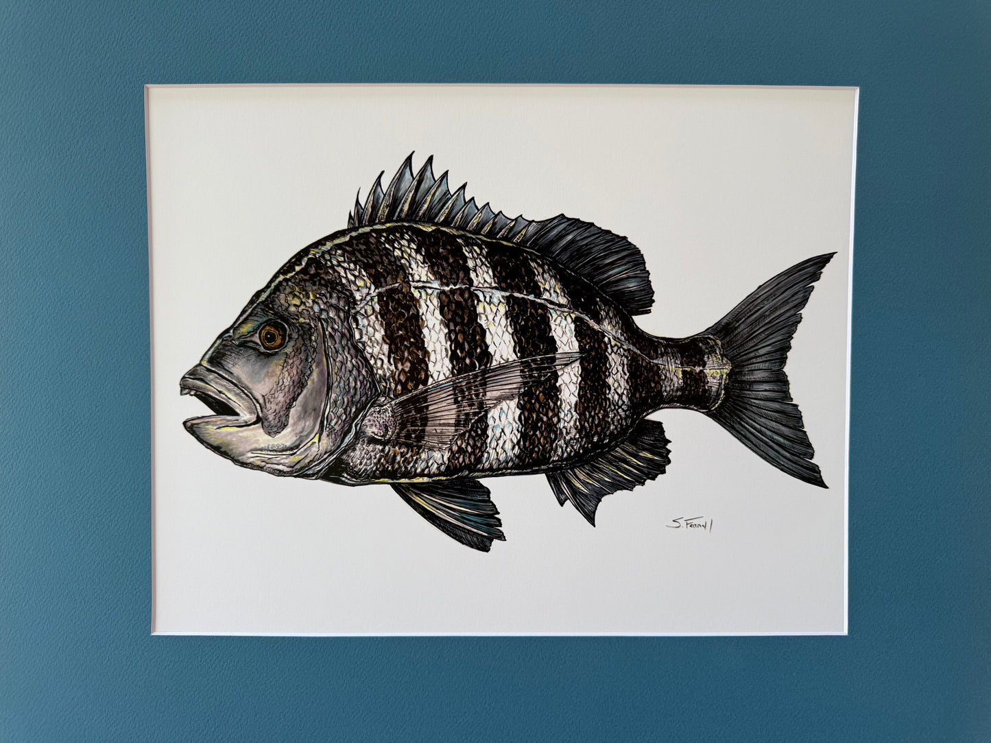 Sheepshead