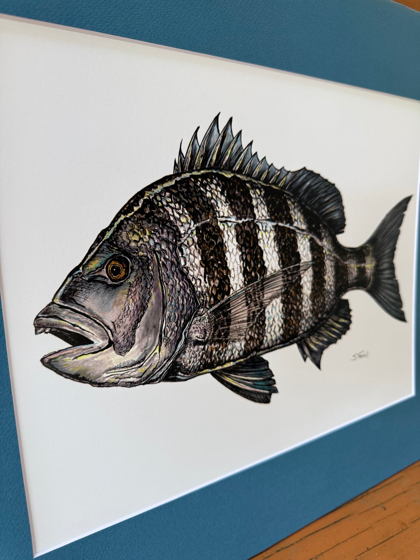 Sheepshead