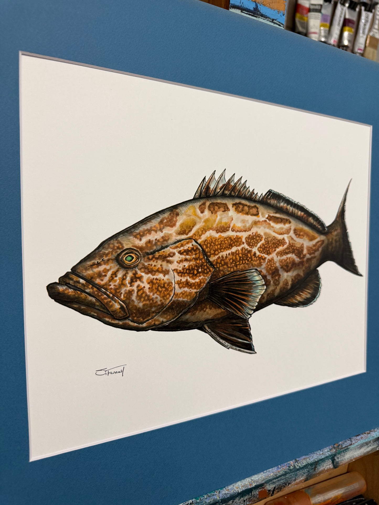 Black Grouper 16” X 20” Giclee Print