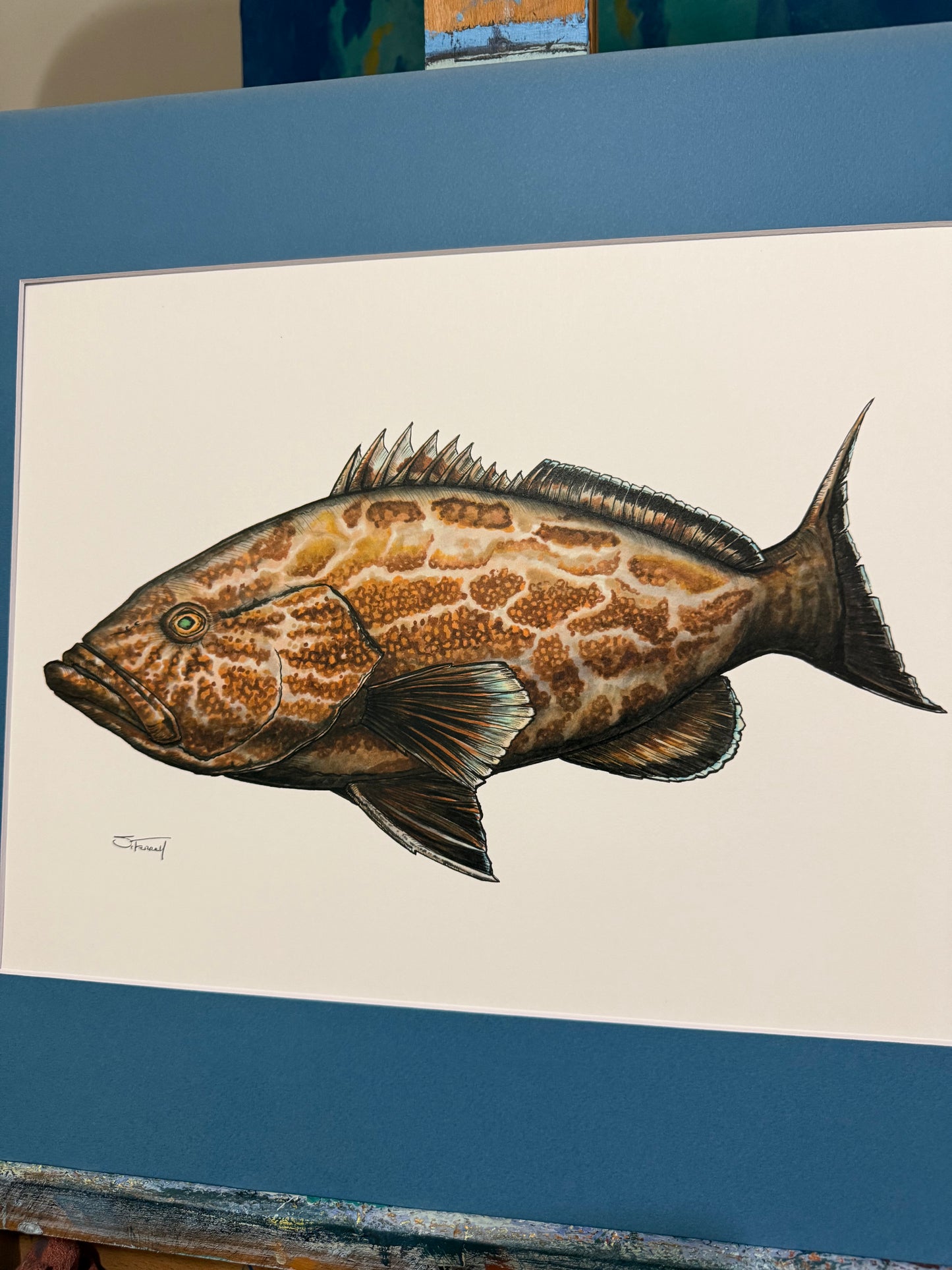 Black Grouper 16” X 20” Giclee Print